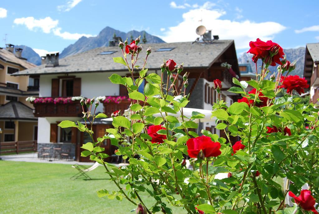 Chalet Gardenia Бормио Экстерьер фото